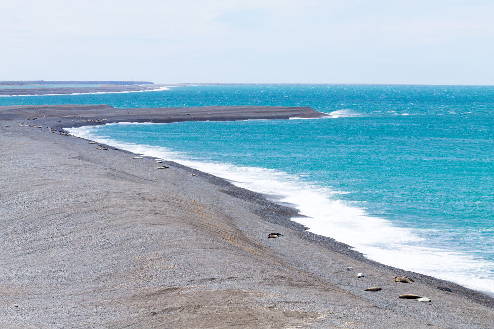 Caleta Valdes Beach