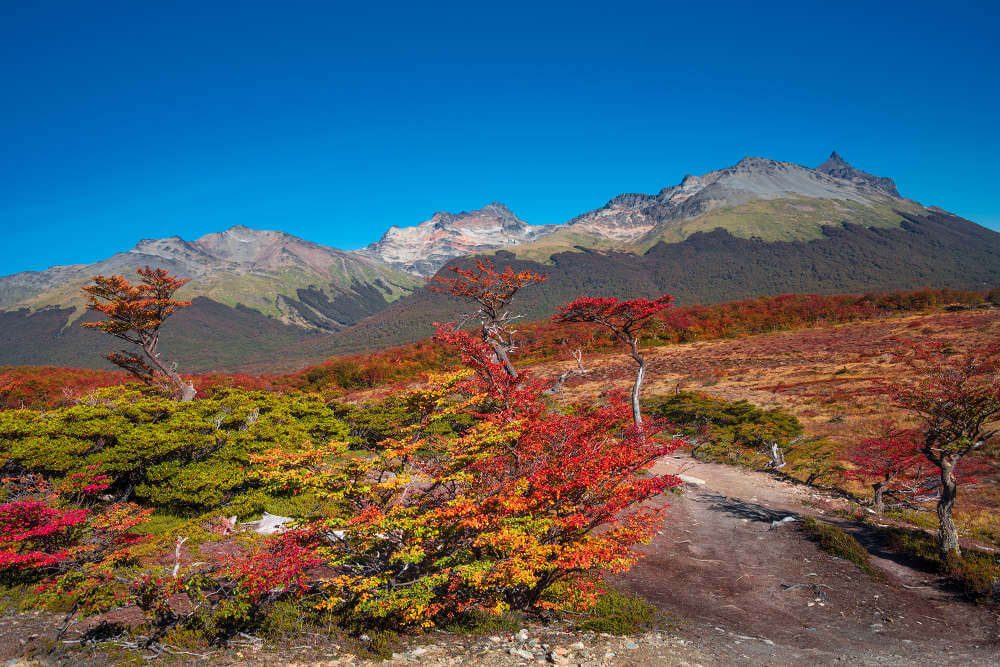 Tierra del Fuego