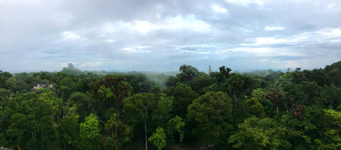 Jungle Guatemala