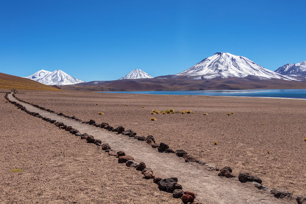 Laguna Miscanti