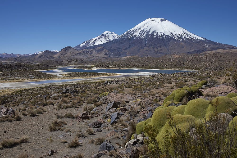 Lauca National Park