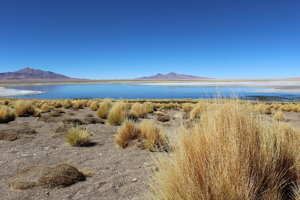 Tara Salt Flat