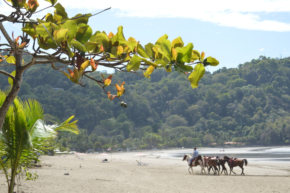 Playa Jaco