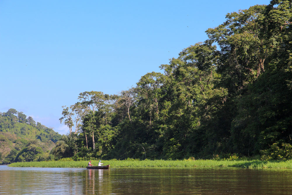 Tortuguero