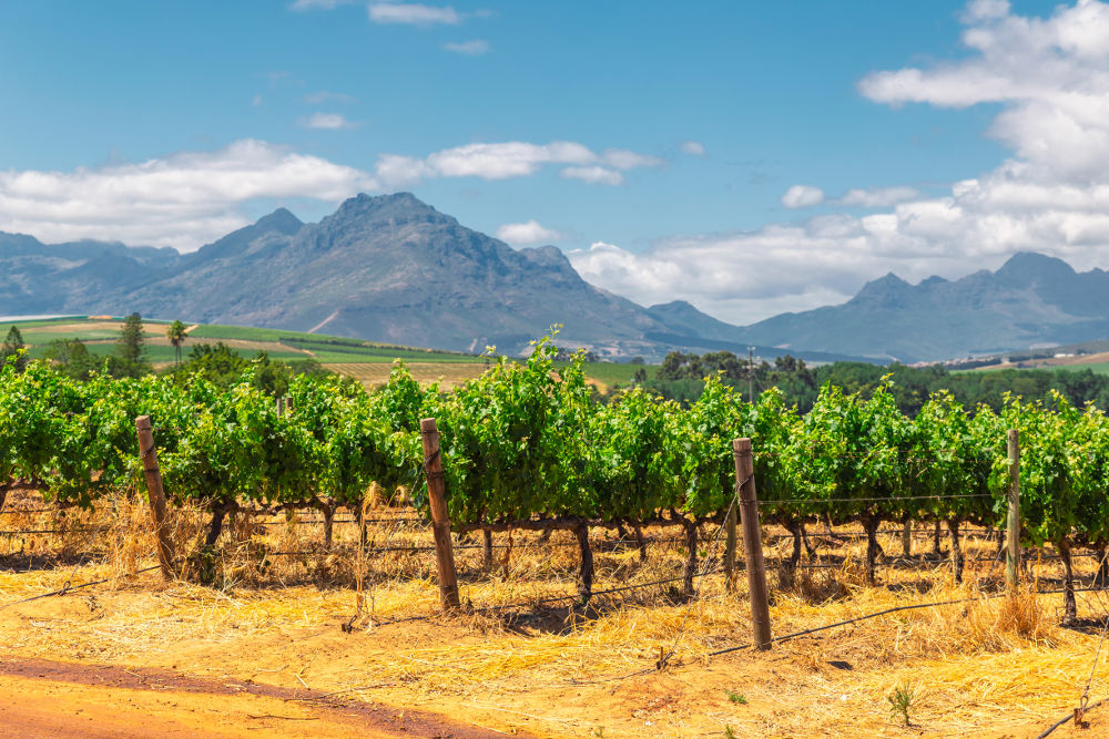 Paarl