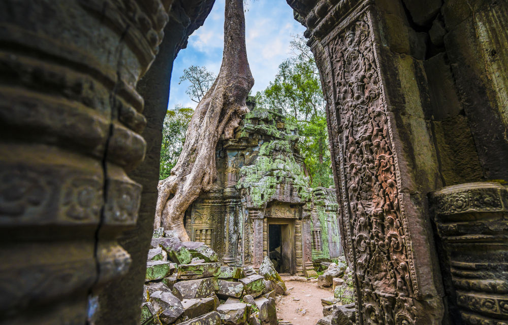 Ta Prohm in Angkor, Cambodja