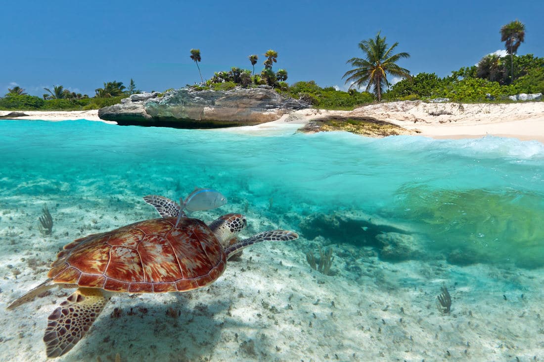 Playa del Carmen in Mexico