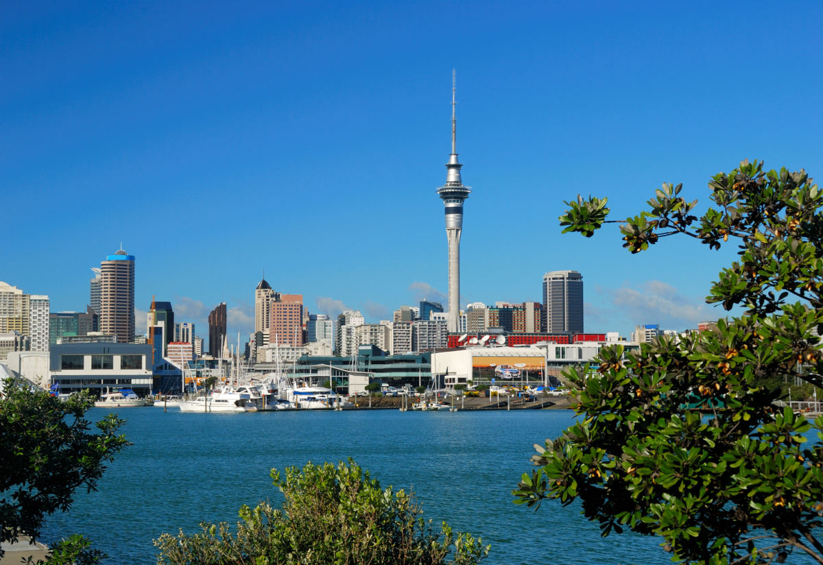 Skyline Auckland 