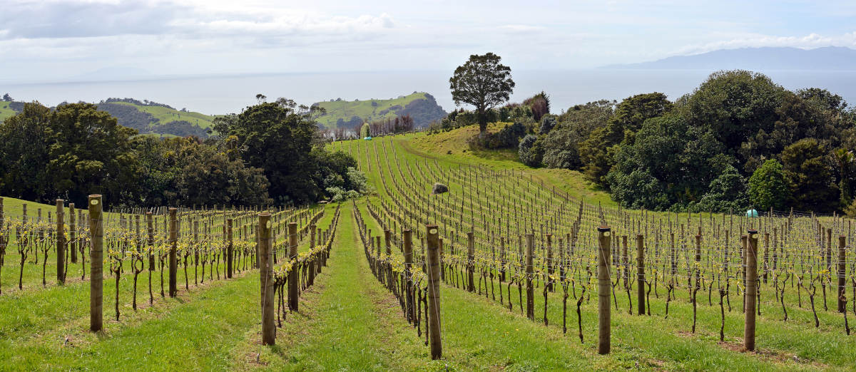 Waiheke Island