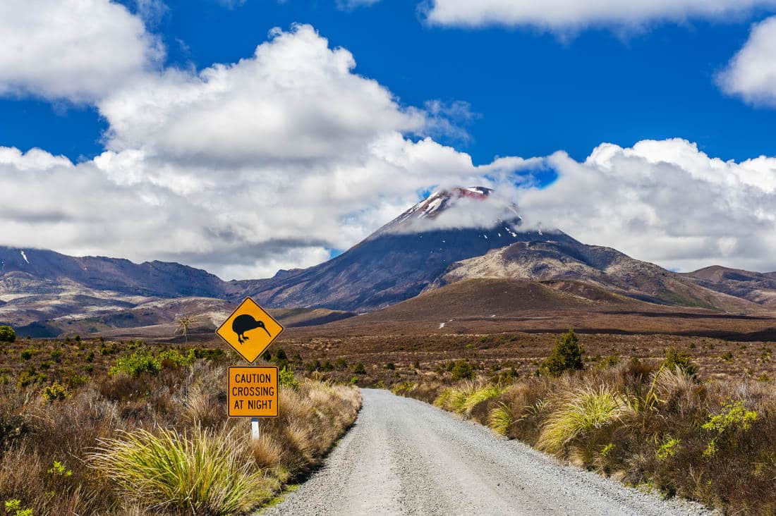 Mt. Ngauruhoe Nieuw-Zeeland