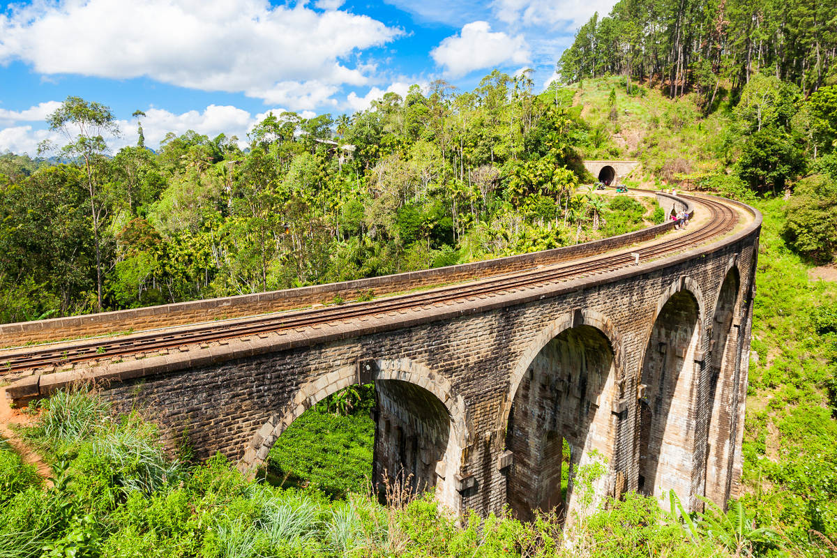 Nine Arches Demodara Bridge