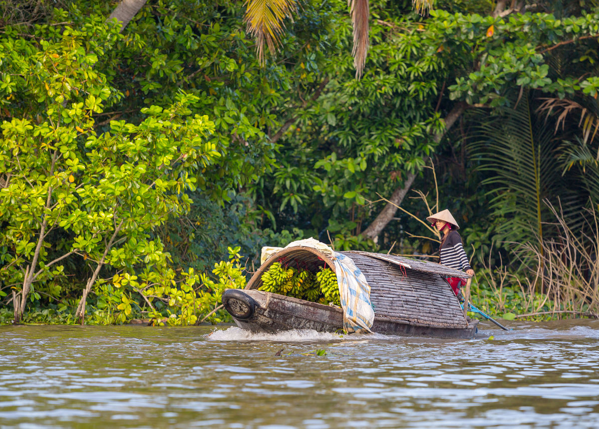 Mekong Delta