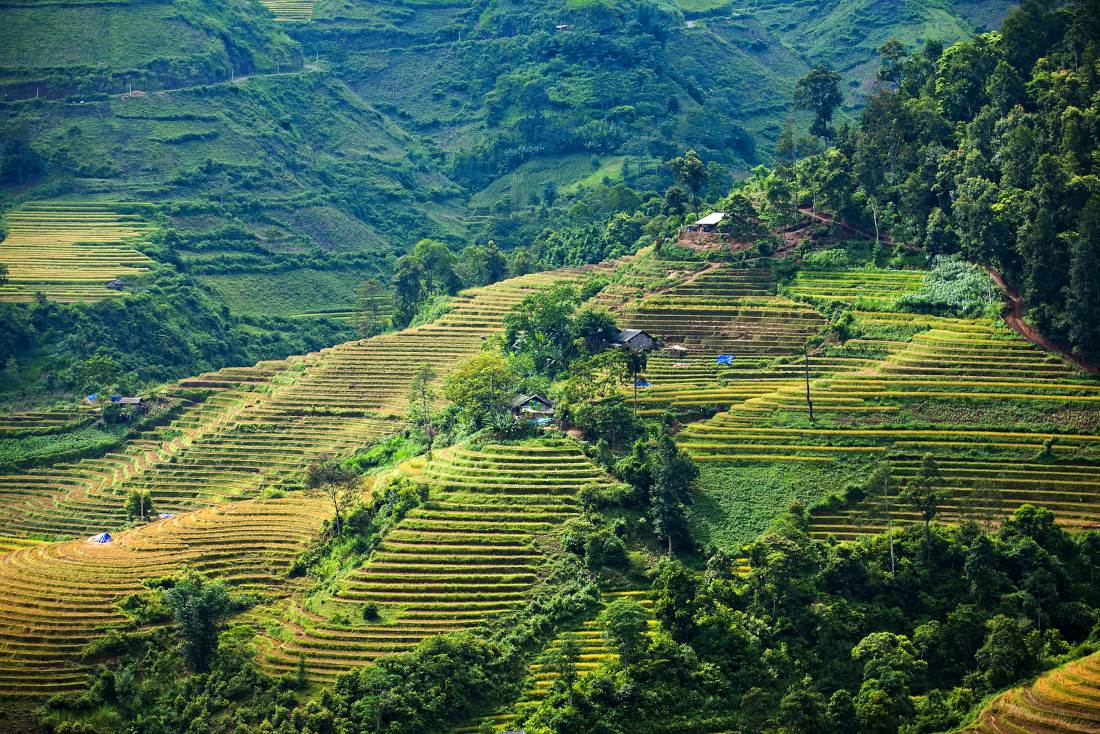 Sapa Vietnam