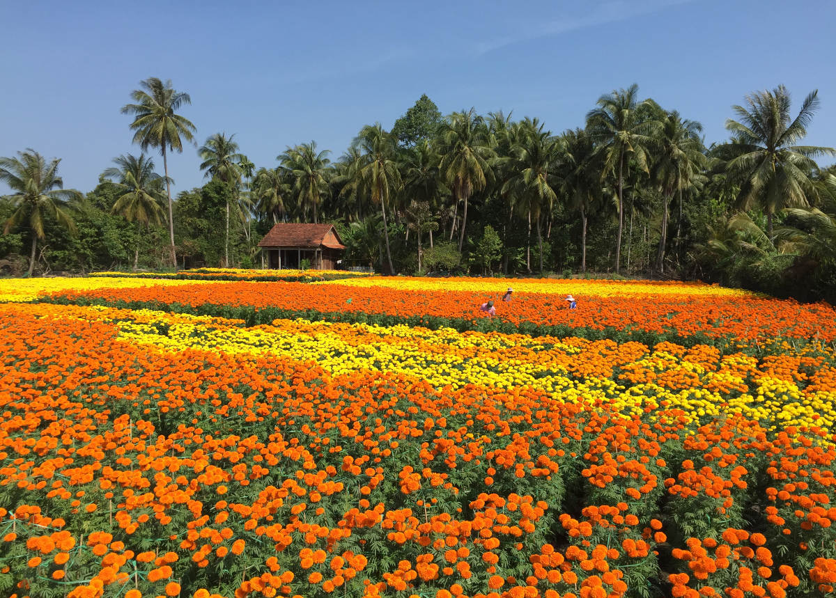 Ben Tre