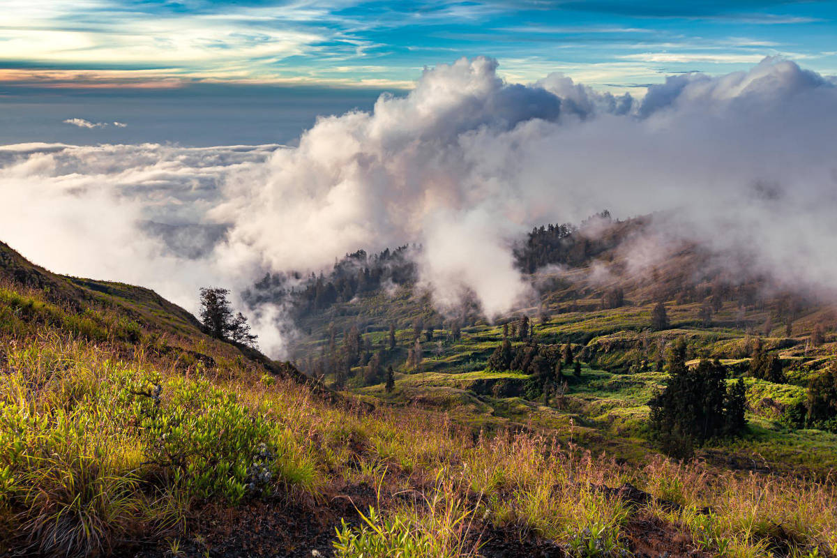 Tambora vulkaan