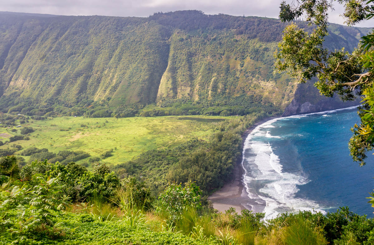 Waipio Valley Lookout 