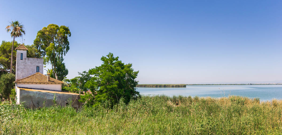 Albufera National Park