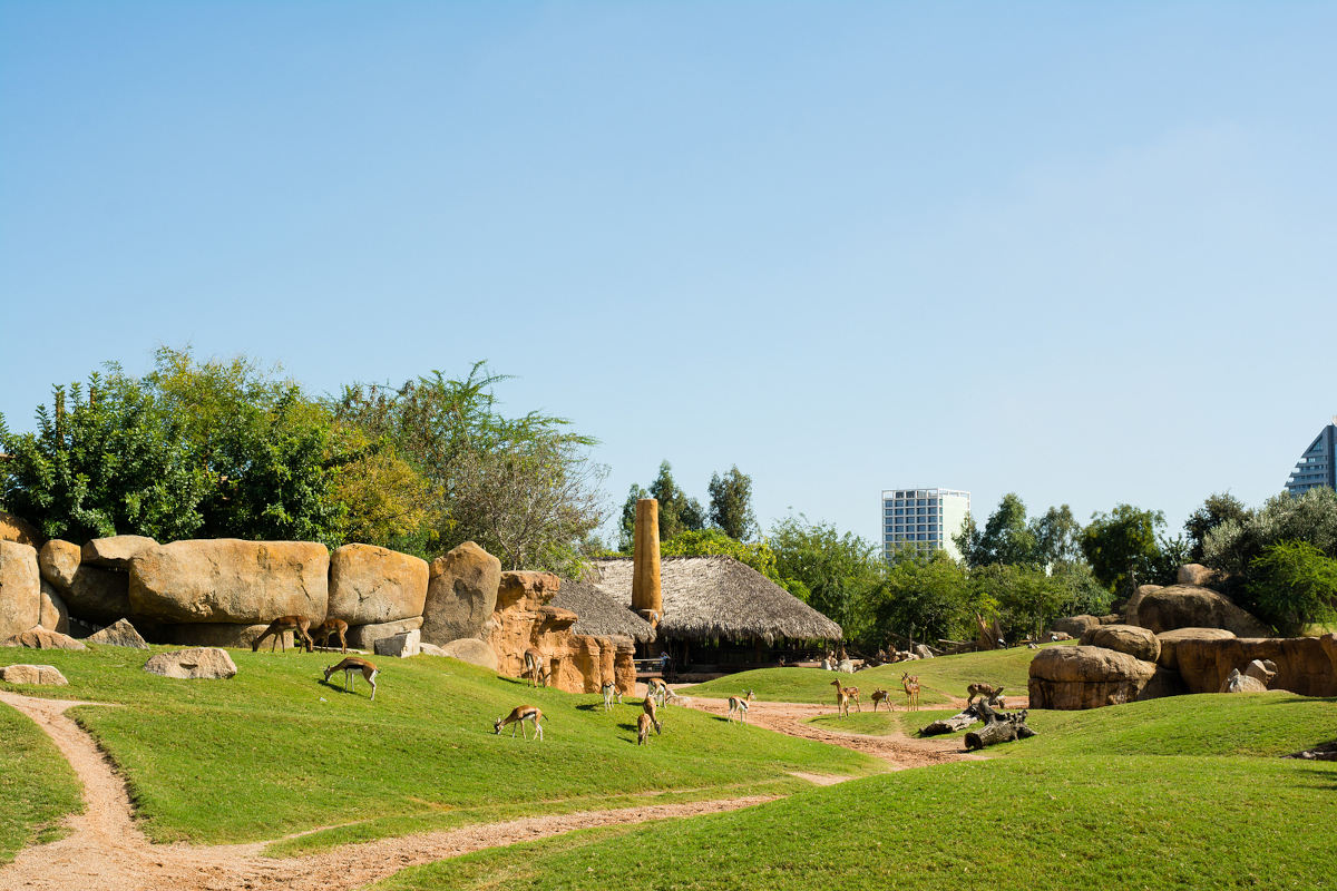 Bioparc Valencia