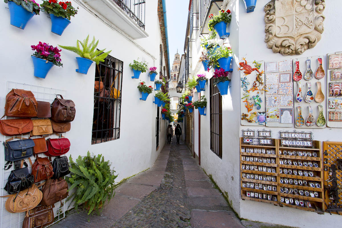 Calleja de las Flores