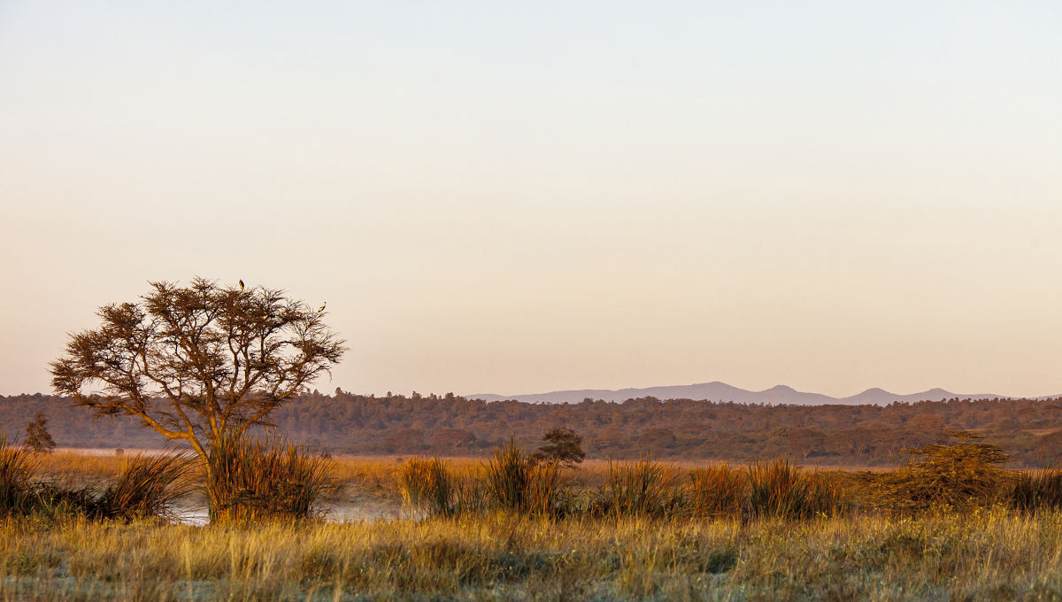 Ngong Hills