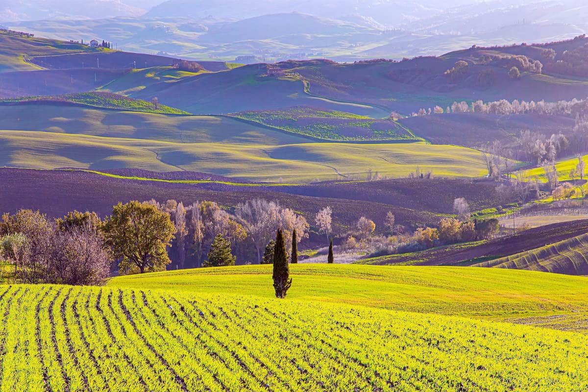 Toscane