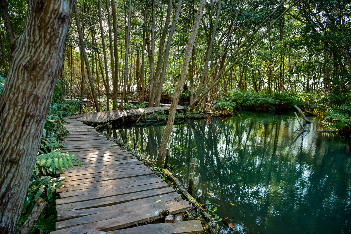 Ria Celestun Biosphere Reserve