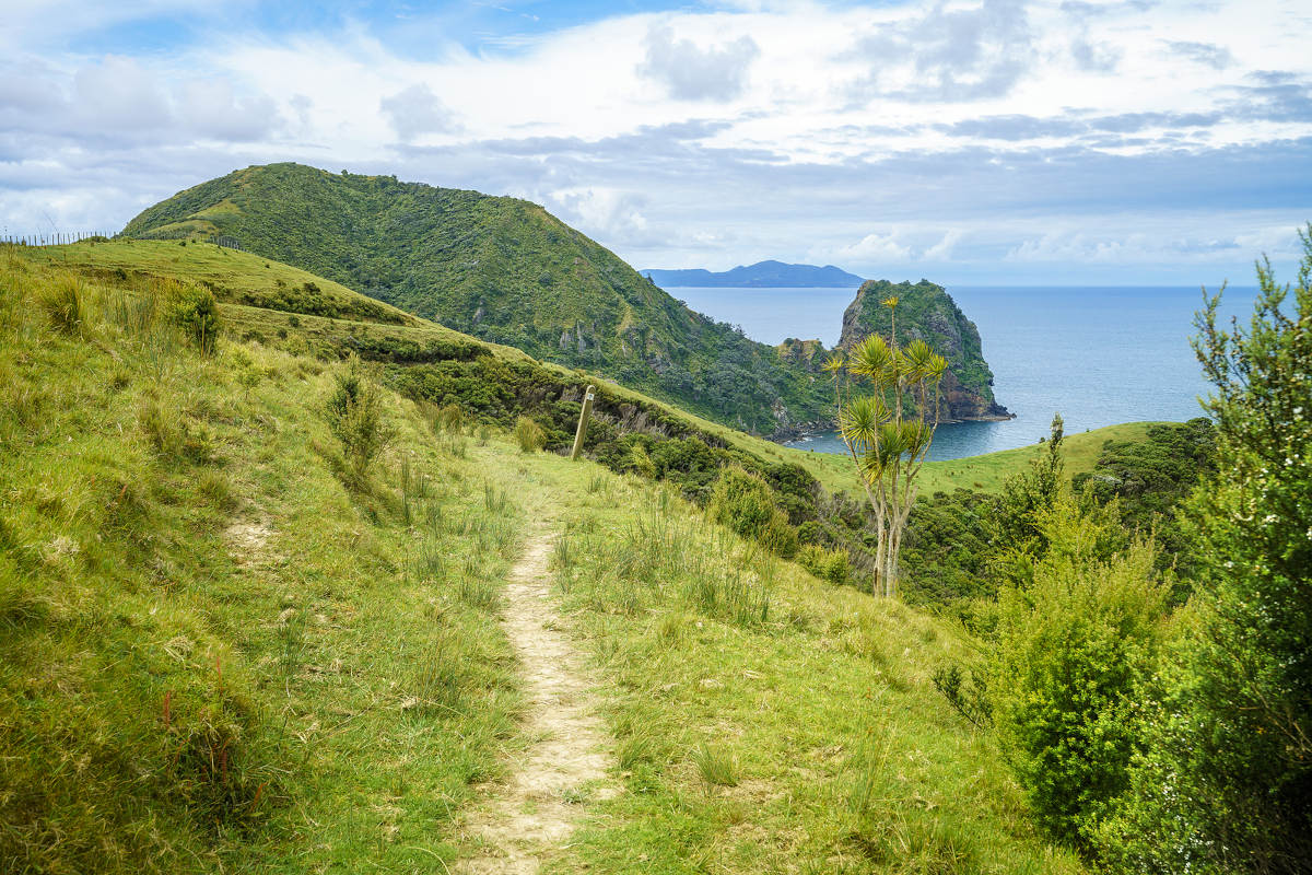 Coromandel Coastal Walkway