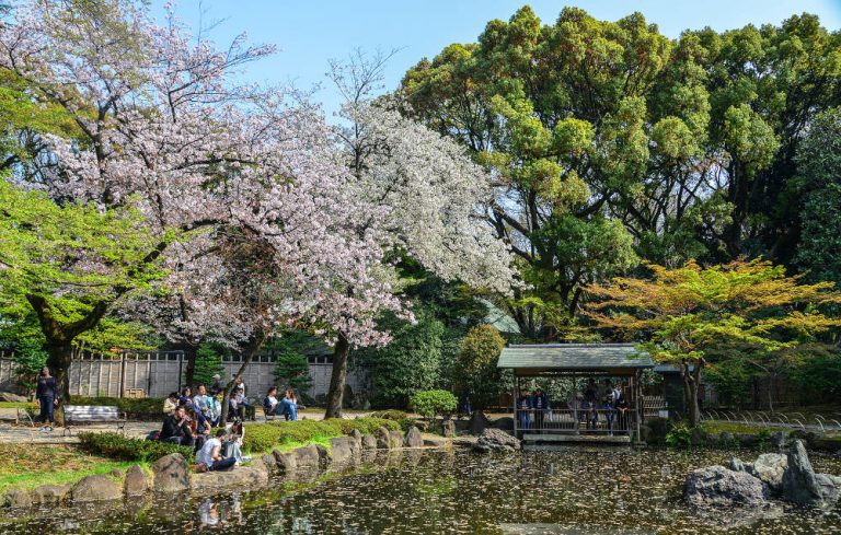 Beste tijd om Tokyo te bezoeken